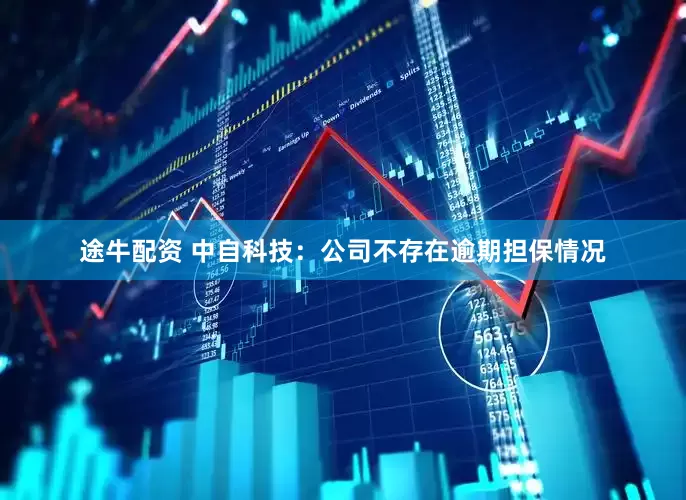 途牛配资 中自科技：公司不存在逾期担保情况