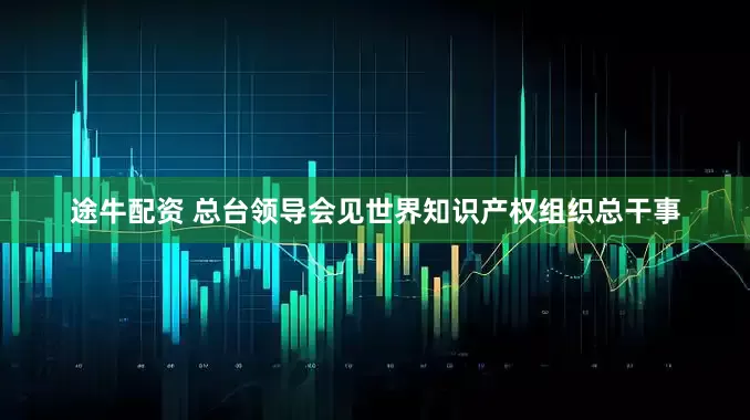 途牛配资 总台领导会见世界知识产权组织总干事